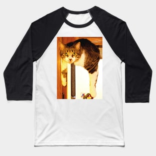 Fenster Cat Baseball T-Shirt